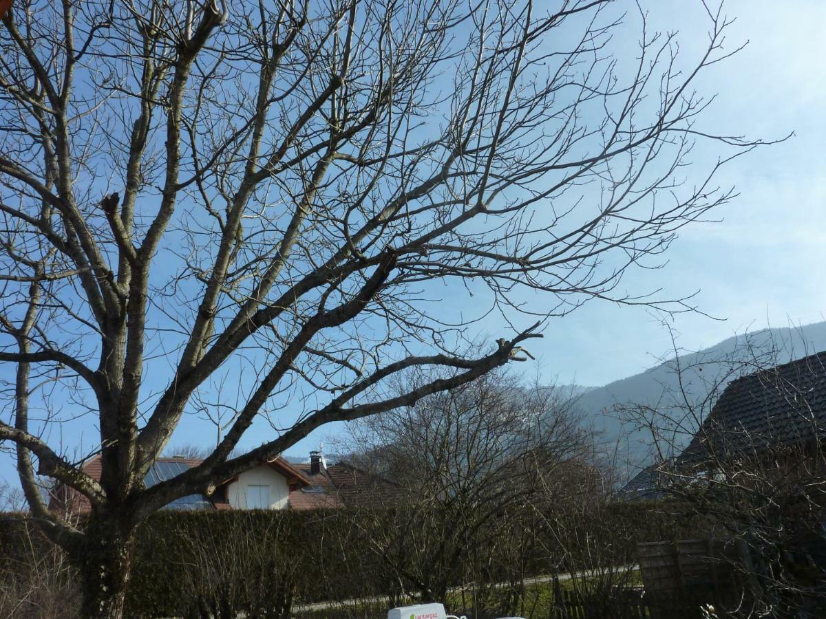 Studio 30 M2 Jardinet 10Minutes Annecy Villa Naves-Parmelan Ngoại thất bức ảnh
